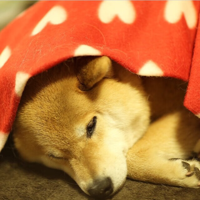 阵容深度决定赛季上限,阵容深度决定赛季上限是什么