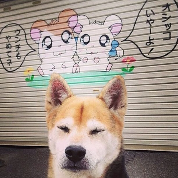 意甲团队配合:默契十足,造就胜利!,意甲哪些队相互关系好