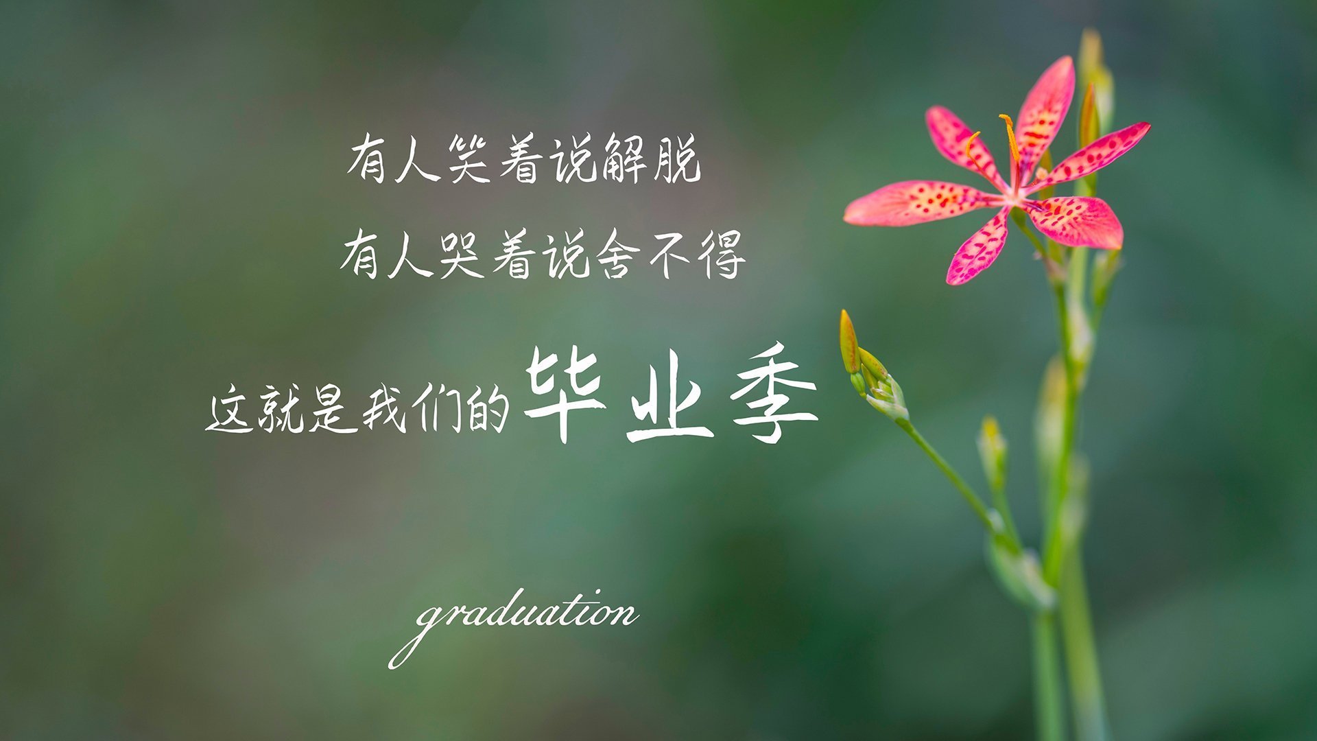 篮网赛前组织高强度热身提升实战效率,篮网公开训练合照