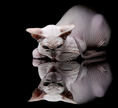 训练场地翻新完成球员训练积极性高涨表现更为投入，球场翻新方案