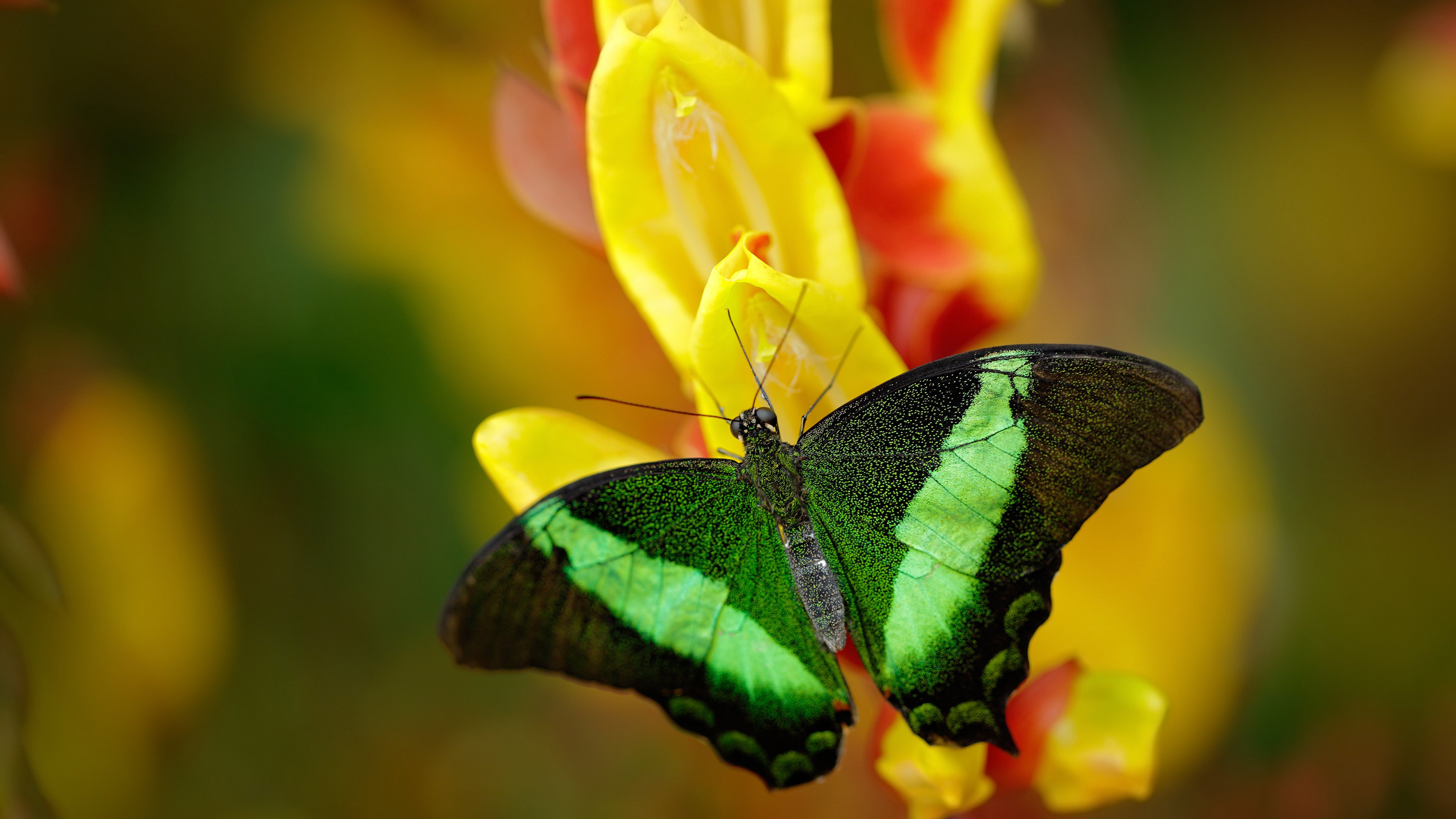 九游网-中国篮球的地方俱乐部发展策略，篮球俱乐部的发展方向