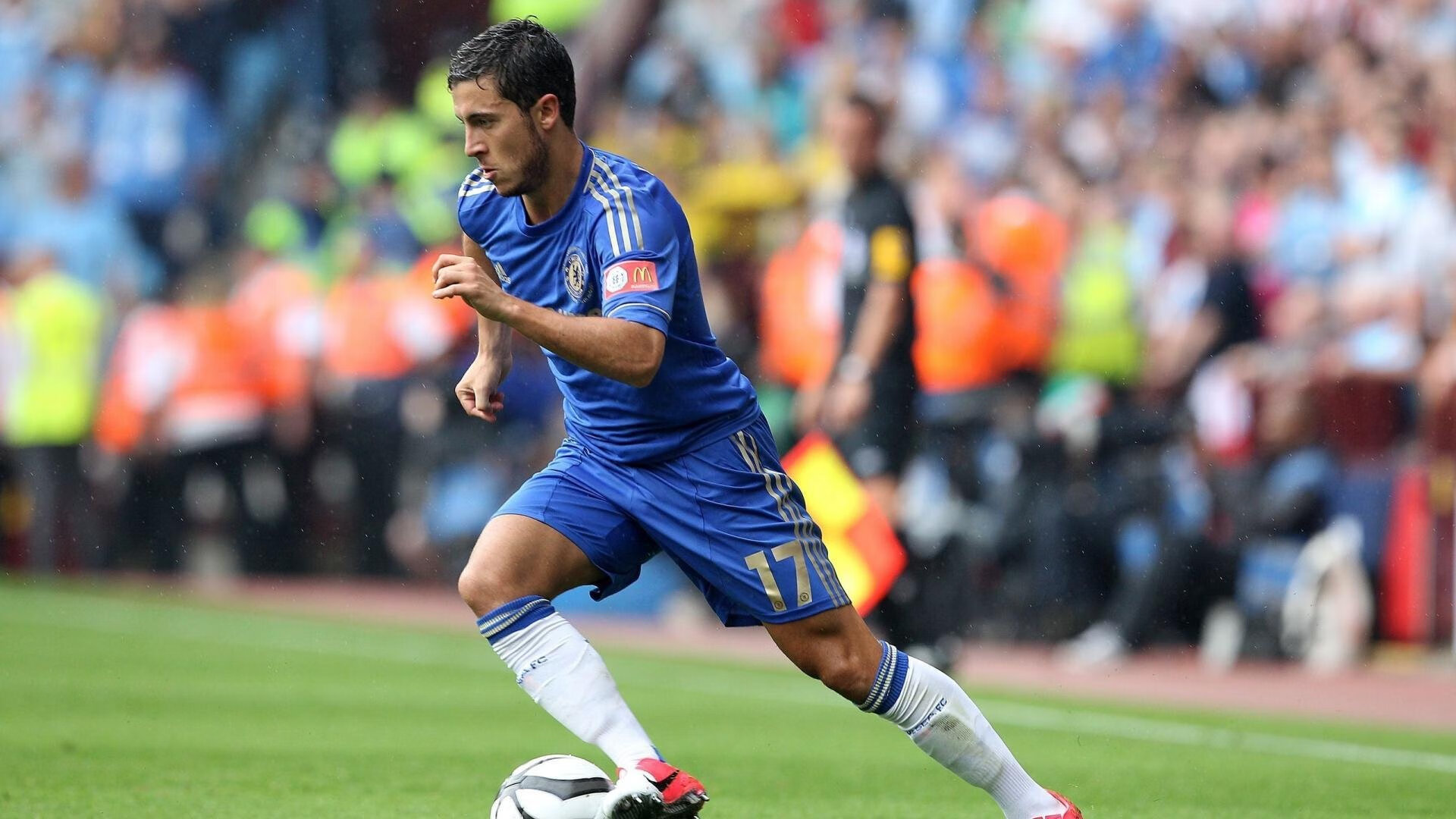 世界杯：宠物店推出“看球不孤单”寄养套餐 深夜看球主人可放心托管